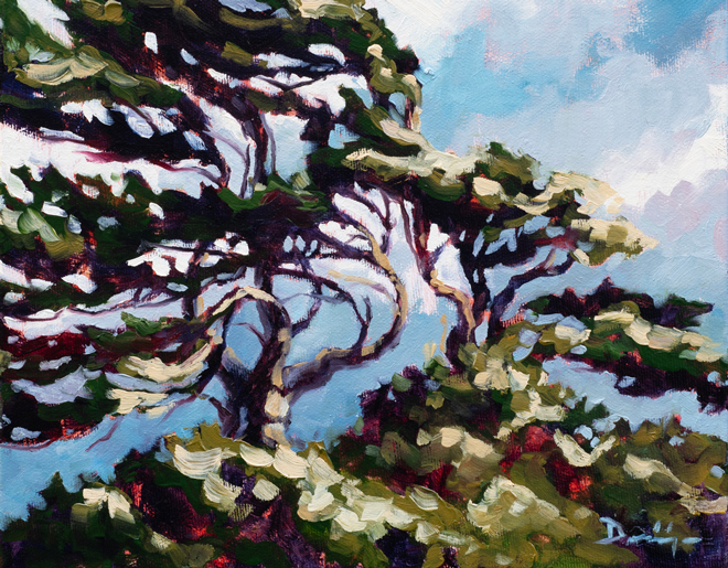Impressionistic fine art oil painting of a shore pine getting blown by wind